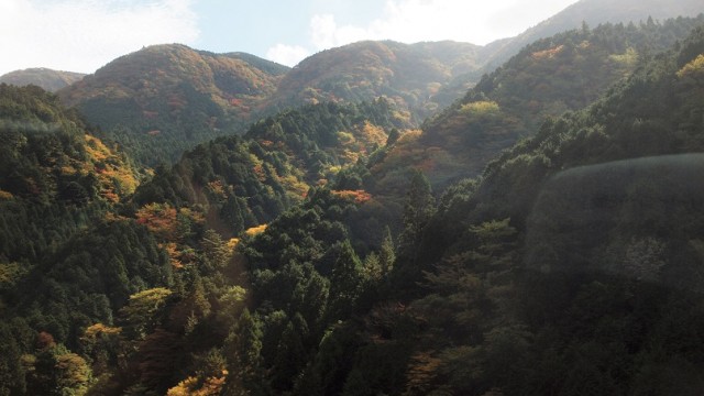 OLYMPUS DIGITAL CAMERA 2017家族旅行