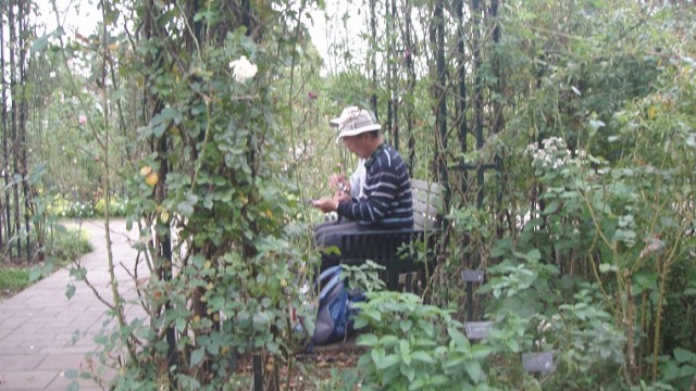 OLYMPUS DIGITAL CAMERA